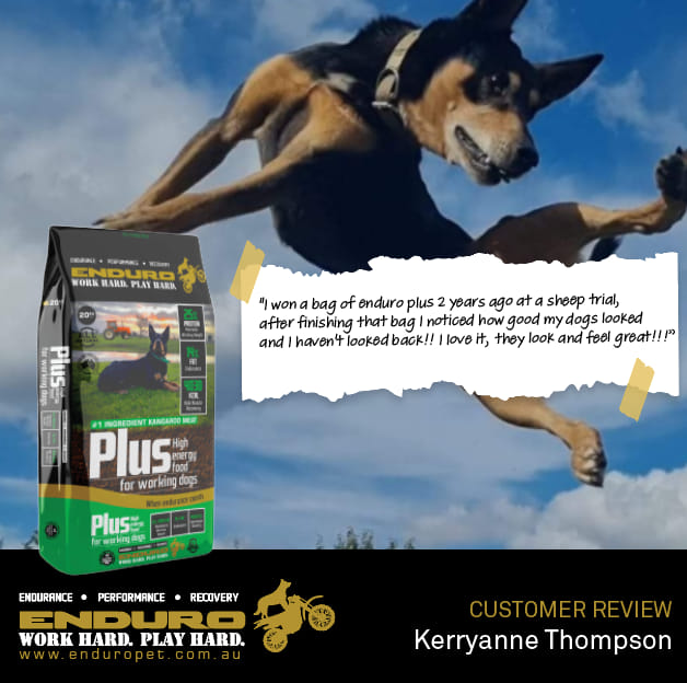 487453039_1121832739957883_4261324496566203201_n