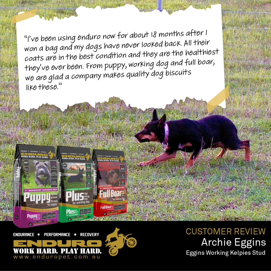 487511755_1121828326624991_4868138795710090159_n