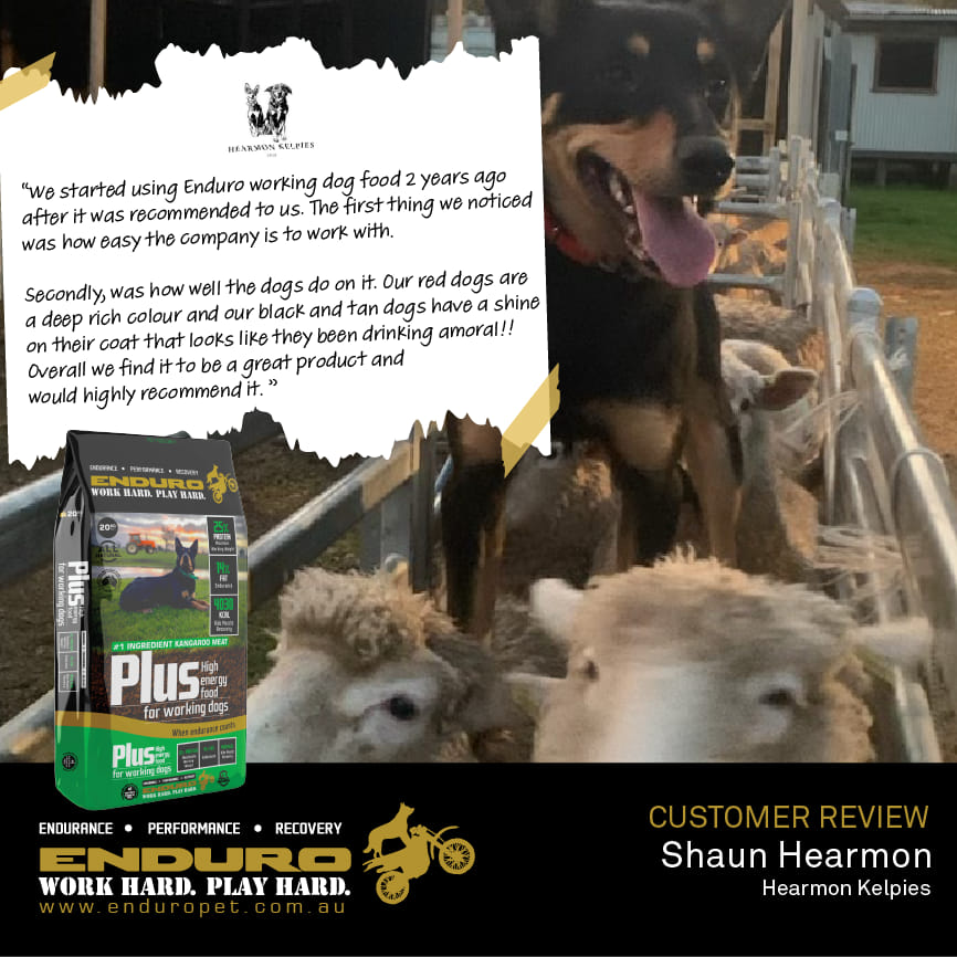 487849080_1121721819968975_1805032113333068471_n